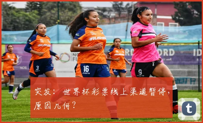 突发：世界杯彩票线上渠道暂停，原因几何？